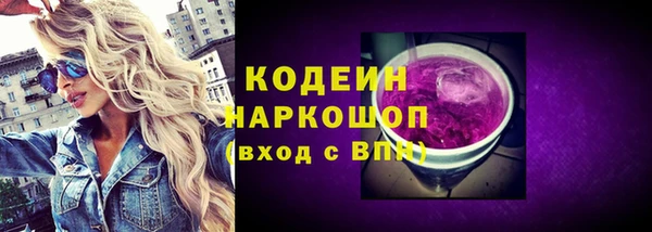 ГАЛЛЮЦИНОГЕННЫЕ ГРИБЫ Ельня