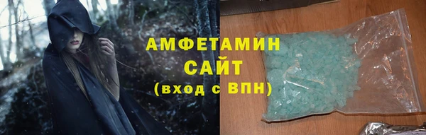ГАЛЛЮЦИНОГЕННЫЕ ГРИБЫ Ельня