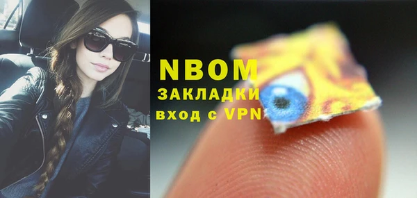 ГАЛЛЮЦИНОГЕННЫЕ ГРИБЫ Ельня