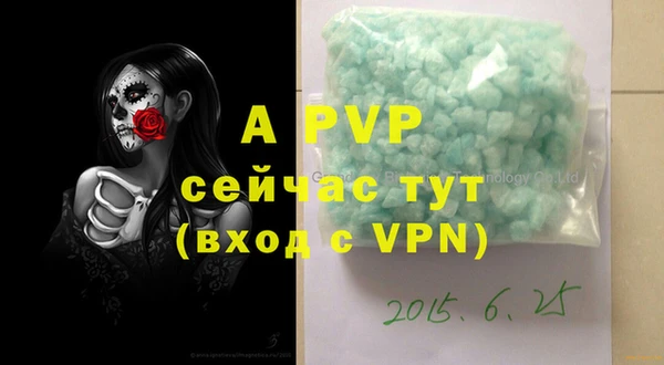 ГАЛЛЮЦИНОГЕННЫЕ ГРИБЫ Ельня