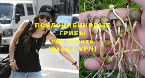 ГАЛЛЮЦИНОГЕННЫЕ ГРИБЫ Ельня