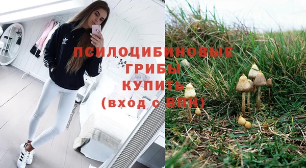 бошки Елизово