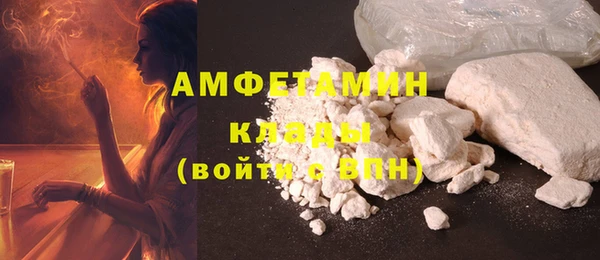 ГАЛЛЮЦИНОГЕННЫЕ ГРИБЫ Ельня