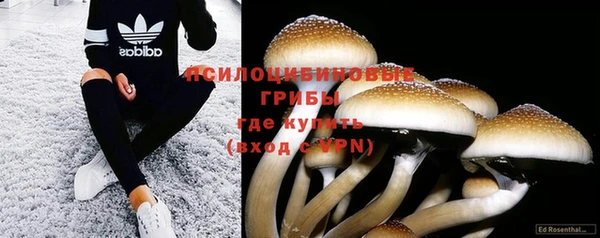 ГАЛЛЮЦИНОГЕННЫЕ ГРИБЫ Ельня
