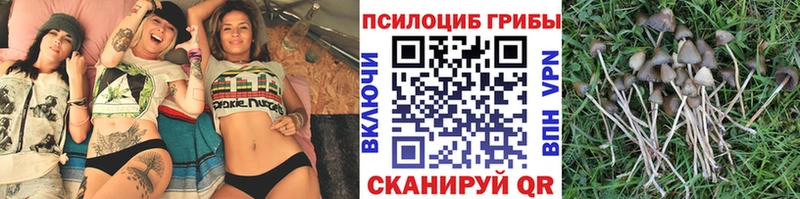 как найти закладки  Заозёрный  Псилоцибиновые грибы Magic Shrooms 